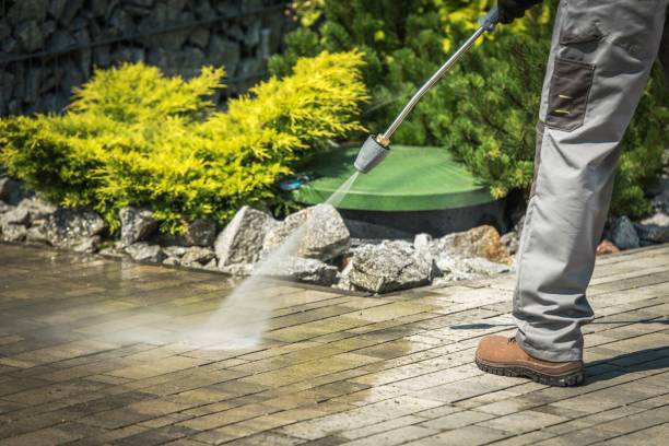 Best Roof Cleaning and Mildew Removal in Greenfield, IL